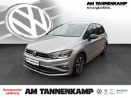 VW Golf Sportsvan, Golf VII Sportsvan IQ DRIVE, Jahr 2019 - Varel