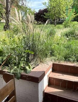 Fachwerkhaus in Wolfhagen Viesebeck, ca. 100 m² Wohnfläche und 750 m² Gartenfläche. - Wolfhagen