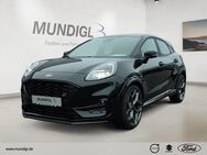 Ford Puma, 2-Zonen, Jahr 2024 - Landshut