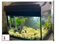 3 verschieden Aquarien - Terarrien 15€, 30e+ 40€ je Teil Versand +10€ - Mosbach