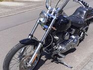 Harley Davidson Softail FXSTI - Trier