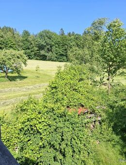 Fast ALLEINLAGE! Umfangreich saniert-Bezugsfrei! EFH mit sep. ELW, 1.600 ² Grd, 93485 Rimbach - Rimbach (Regierungsbezirk Oberpfalz)