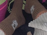 Bärchen Socken - Neubrandenburg