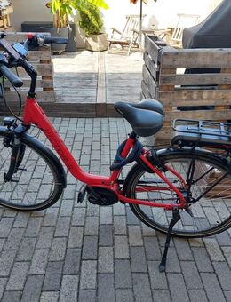 Victoria E Bike - Dienheim