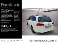 VW Golf Variant, 1.2 TSI Allstar, Jahr 2016 - Kelkheim (Taunus)