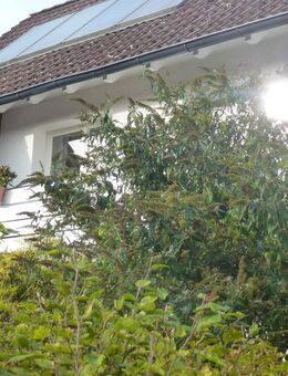 2 Fam.Haus in Bestlage mit Garten- Praxisgeeignet - Hamburg