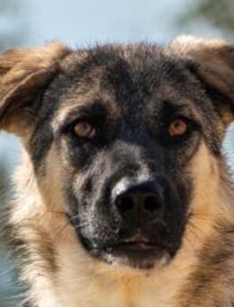 Oksana neugierig & voller Herz 🩷 - München