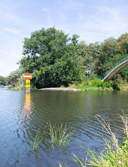 Günstige Wohnung für Studis und Azubis - Halle (Saale)