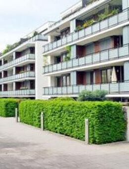 Grün-und Außenanlagenpflege - Rüdersdorf (Berlin)