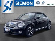VW Beetle, 1.4 TSI Cabrio Allstar, Jahr 2016 - Warendorf