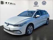 VW Golf Variant, 1.0 TSI VIII Life Business Premium Paket Light Assisit, Jahr 2023 - Lörrach