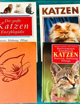 Buch Set Katzen 4 Stück - Dorfen