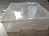 IKEA Box mit Deckel (SAMLA) - 79x57x18 - Düsseldorf