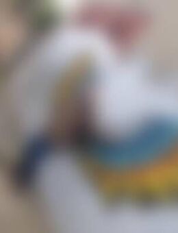 Her*** - Naumburg (Saale)