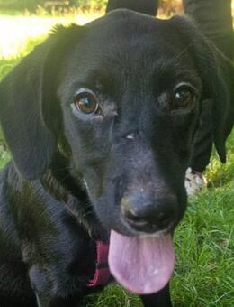 Rubie- Sie ist bereit für ihr Glück - Obertshausen