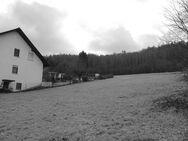 Idyllisch gelegenes Grundstück: Leichte Hanglage und absolute Ruhe in Schlierbach! - Brachttal