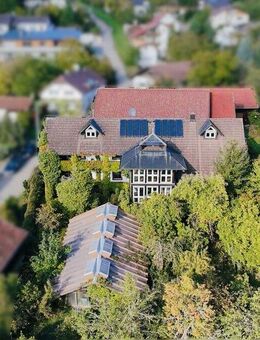 Hofstelle in Wildgarten-Idylle mit Sanierungschancen - eine Bühne für echte Macher - Steinach (Bayern)