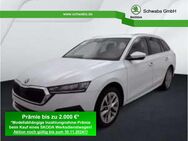 Skoda Octavia, 2.0 TSI Combi Style, Jahr 2024 - Gersthofen