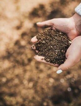 Grün, ruhig, effizient - wohnen mit gutem Gefühl ! - Hückelhoven