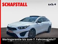 Kia - Bergheim (Nordrhein-Westfalen)