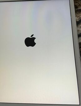 Verkaufe iPad A2197 - Stühlingen