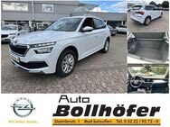 Skoda Kamiq 1,0TSI Ambition - Bad Salzuflen