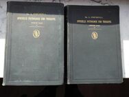 Lehrbuch der Speciellen Pathologie und Therapie der inneren Krankheiten, Dr. Adolf Strümpell, 2 Bücher von 1892 - Flensburg