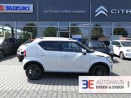 Suzuki Ignis, Comfort Hybrid, Jahr 2022 - Wetzlar