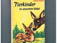Tierkinder in unserem Wald,Erich Kloss,Schneider Verlag,60er Jahre - Linnich