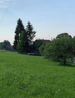 BIEN-ZENKER CELEBRATION 207 V2 mit Bauplatz - Bad Teinach-Zavelstein