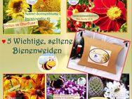 ♥ BIO 5 seltene und wichtige Bienenweiden ,samenfest,Tulpenstolz, Raritäten, Nikolaus,Weihnachten,Geschenk,Mitbringsel,Sonnenblume, - Hamburg