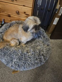 Lana - Berlin Reinickendorf