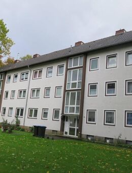 WWS - kleine 3-Raum Nähe Herforder Klinikum - Herford (Hansestadt)