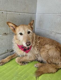 Ruhige Eva - Eichenzell