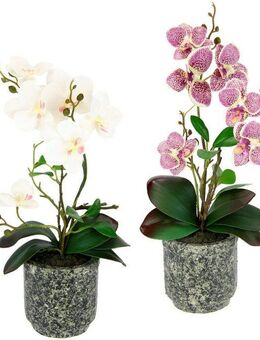 Kunstpflanze Orchidee, I.GE.A., Höhe 38 cm, Mit Blättern und Luftwurzeln, im Topf aus Keramik, 2er Set