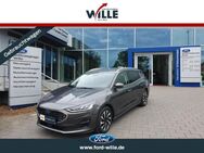 Ford Focus, 1.5 Titanium EcoBlue EU6d, Jahr 2023 - Dülmen