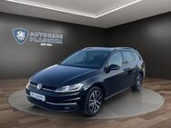 VW Golf, 2.0 TDI Var Highline, Jahr 2020 - Amelinghausen