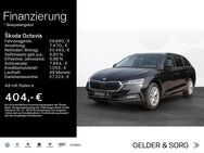 Skoda Octavia, 2.0 TDI Combi Style, Jahr 2023 - Bad Kissingen