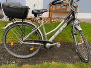 Danen City-Fahrrad - Straubing