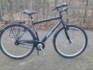 Trekking Herren Fahrrad 28 Zoll - Berlin Neukölln