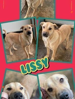 tolle junge Lissy wer hat mich lieb? - Nürnberg