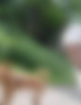 Mai*** - Bendorf (Rheinland-Pfalz)