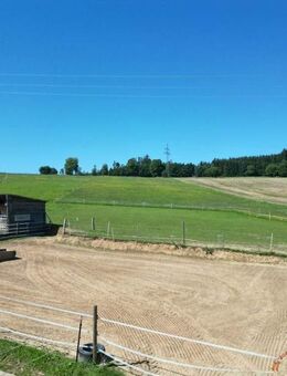 Reiterparadies & Mehr: Großzügiges Anwesen mit Hallen, Sandreitplatz und Ausbaupotenzial - Kirchenthumbach