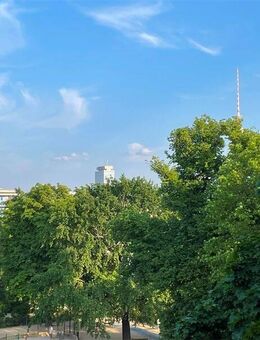 Sanierte Altbauwohnung in erster Reihe am Weinbergspark - VERMIETET - Berlin