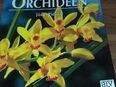 Sonstiges Gärtnern leicht und richtig - Orchideen. Broschierte TB-Ausgabe v. 1996, BLV Verlagsgesellschaft, Jörn Pinske (Autor) in 83026