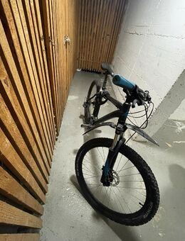 Bulls Mountainbike Sharptail Köln Nippes - Köln