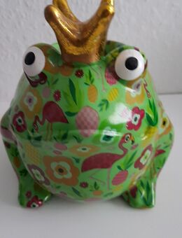 Frosch Freddy? Blumentopf. - Kassel