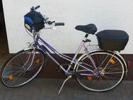 1 Damen -Fahrrad - Becherbach