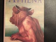John Banville Athena Roman Kiepenheuer & Witsch Buch (Gebunden) - Essen