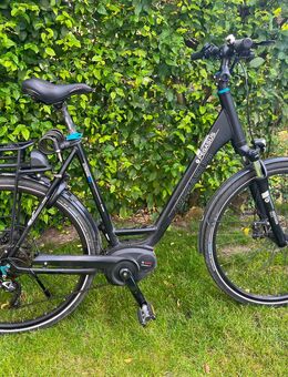E Bike Pegasus Strong E10 Wave Rahmen 60 cm - Haltern (See)